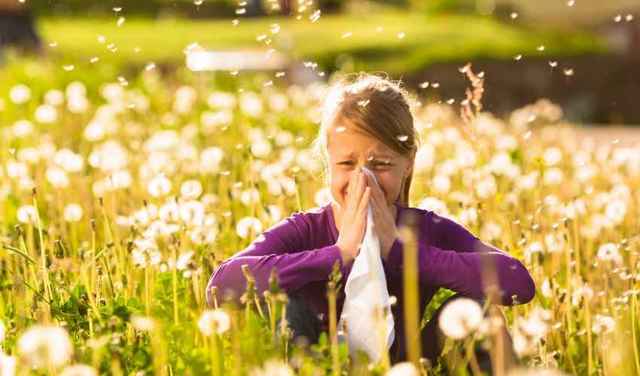 Ordinanza prevenzione per allergopatie da ambrosia